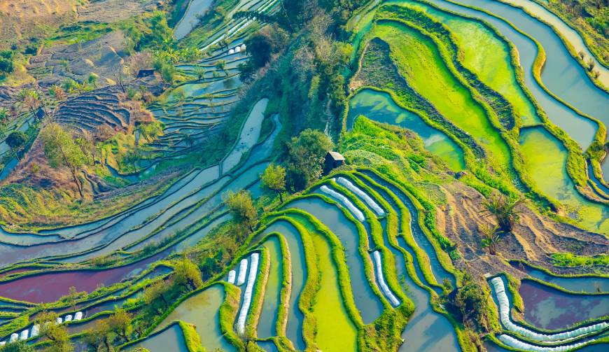 宝妈必备神器：桐柏县产品视频拍摄轻松育儿好帮手