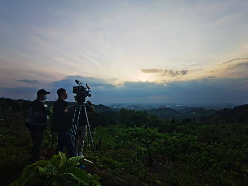 聚焦桐柏县产品宣传视频拍摄公司，用专业实力铸就品牌传播传奇