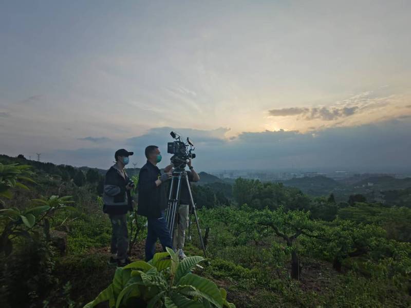 创意破圈！桐柏县电商产品宣传视频用故事化叙事引爆流量