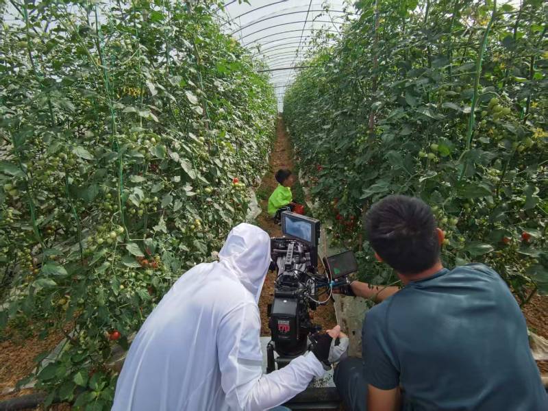 桐柏县产品宣传视频拍摄公司进阶指南，助力品牌抢占传播高地